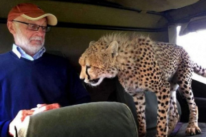 Niespodziewany drapieżnik w samochodzie turystycznym Niespodziewany drapieżnik w samochodzie turystycznym